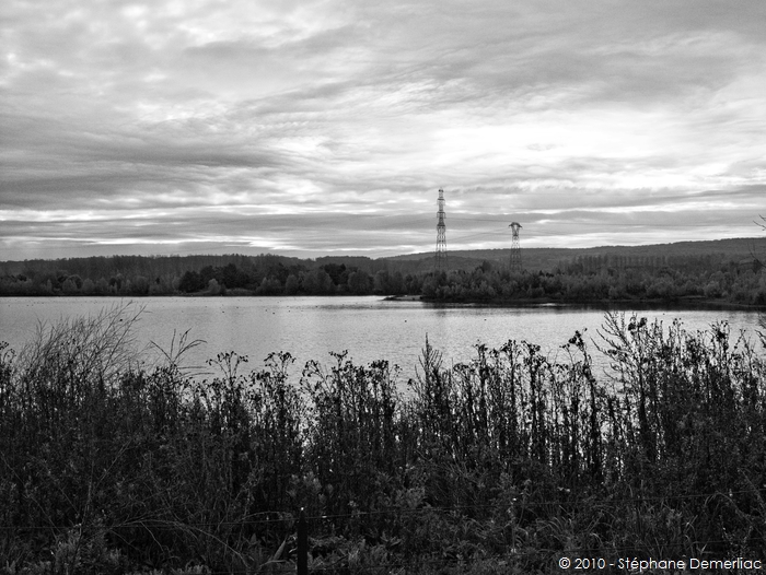 Etangs