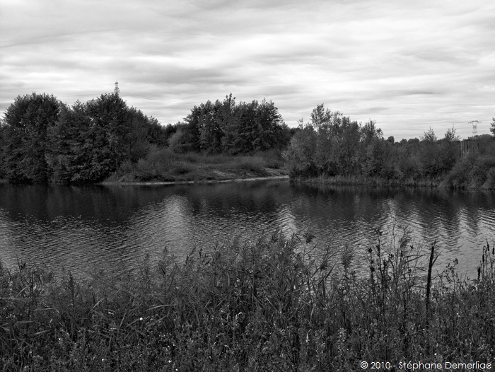 Etangs