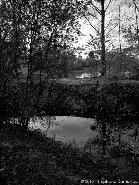 Etangs