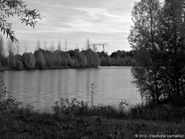 Etangs