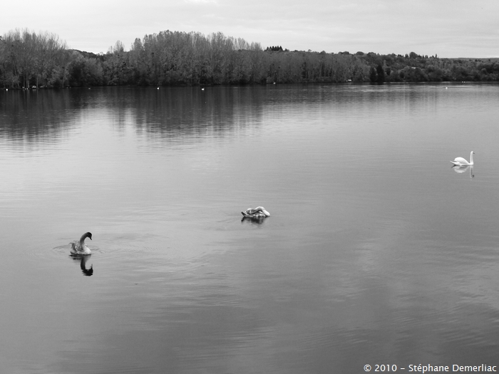 Panasonic GF1