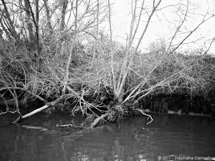 Berges