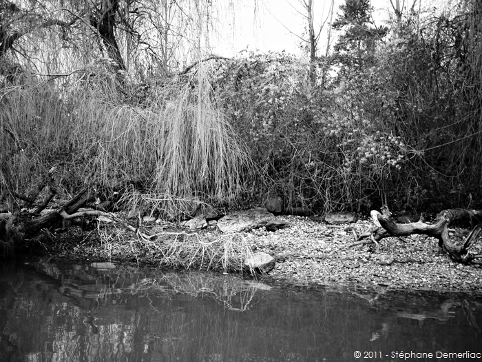Berges