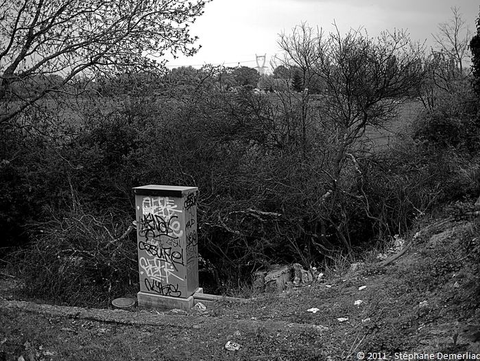 Tags