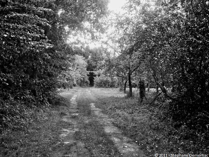 Promenade