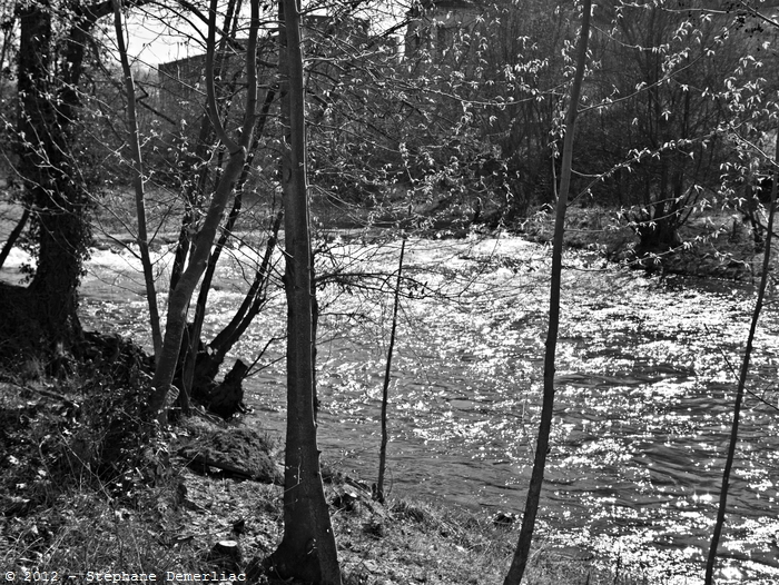 La Marne à St Dizier