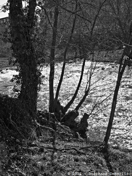 La Marne à St Dizier