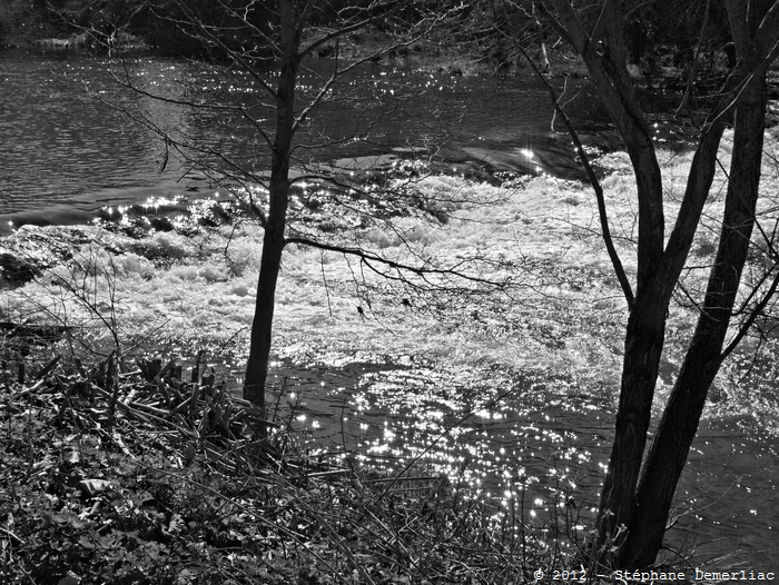La Marne à St Dizier