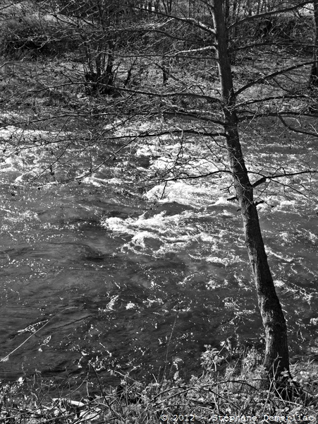 La Marne à St Dizier