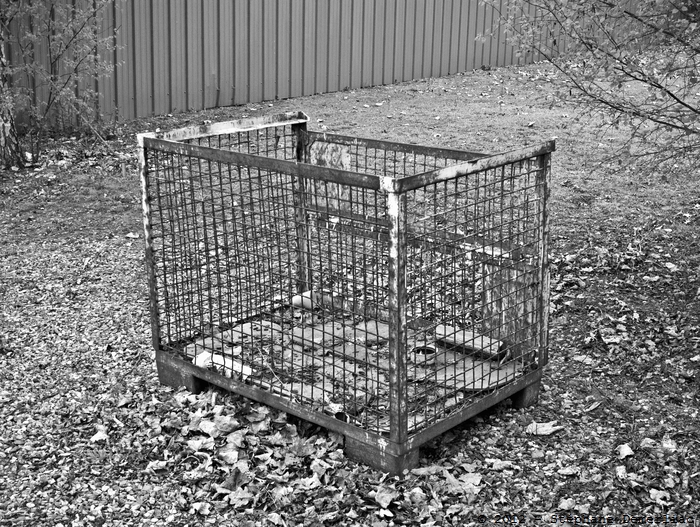 Cage