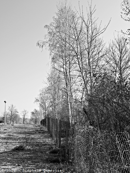 Dimanche matin, beau temps
