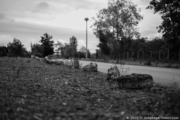 Fuji X-Pro 1