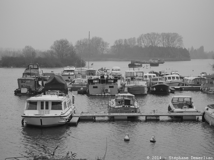 Réveil sur le port