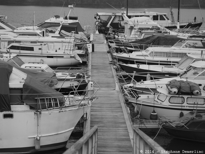Réveil sur le port