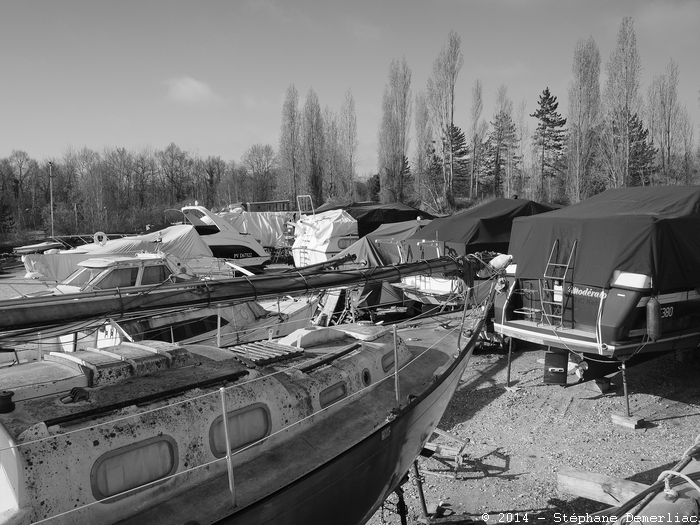 Réveil sur le port