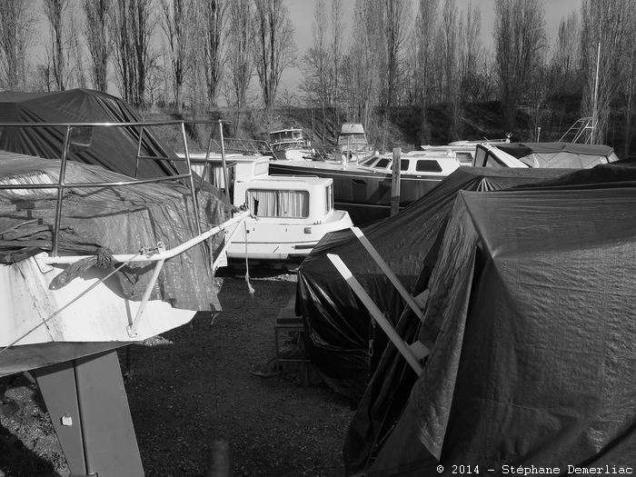 Réveil sur le port